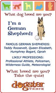 What dog breed are you? I'm a German Shepherd! Find out at Dogster.com